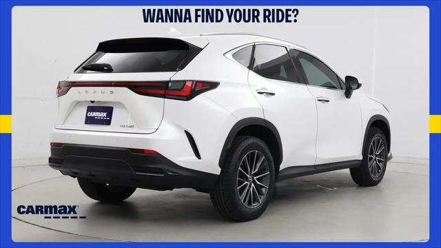 2025 Lexus NX NX 250