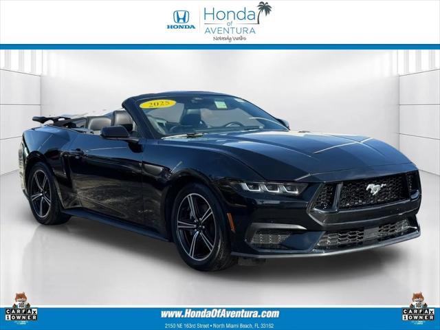 2025 Ford Mustang EcoBoost Premium Convertible for sale in North Miami Beach, FL
