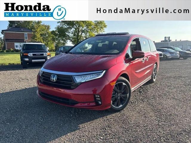 2024 Honda Odyssey Elite for sale in Marysville, OH