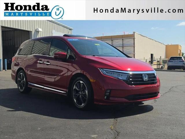 2024 Honda Odyssey Elite for sale in Marysville, OH