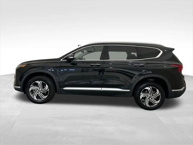 2023 Hyundai Santa Fe SEL 2023 Hyundai Santa Fe SEL