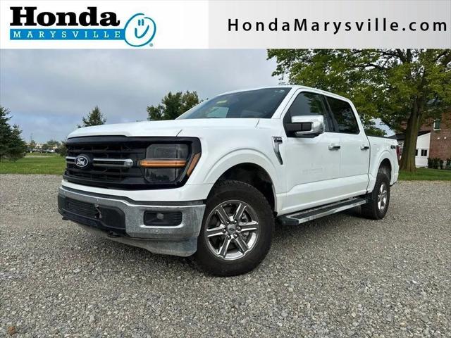 2024 Ford F-150 XLT for sale in Marysville, OH
