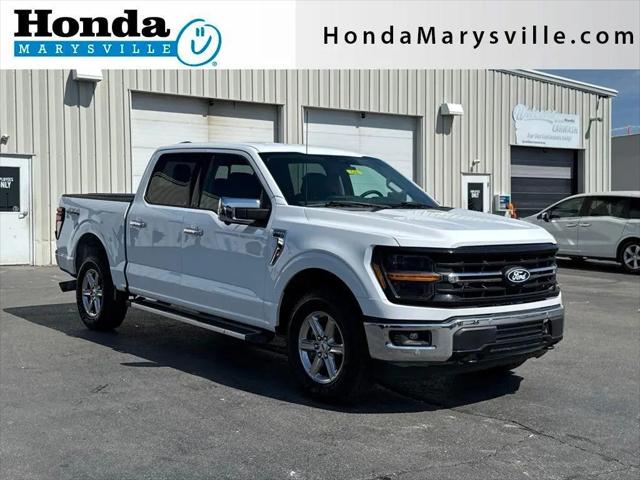 2024 Ford F-150 XLT for sale in Marysville, OH