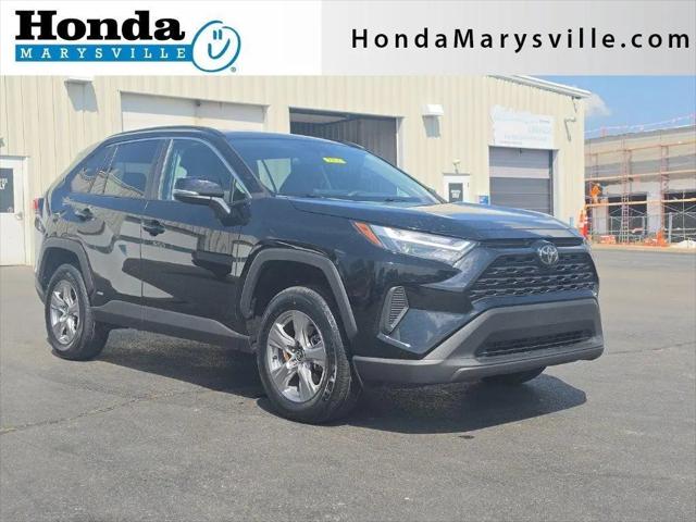 2025 Toyota RAV4 Hybrid XLE for sale in Marysville, OH