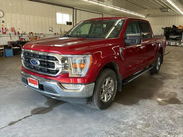 2021 Ford F-150 XLT for sale in Grand Rapids, MN