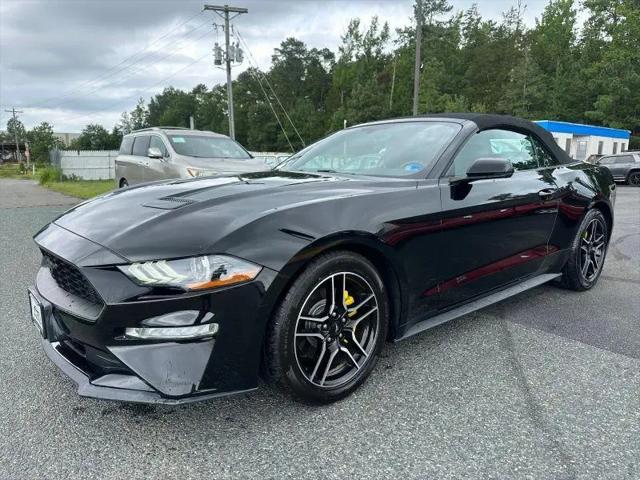 2019 Ford Mustang EcoBoost Premium for sale in Fredericksburg, VA