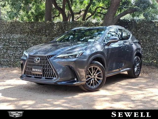 2024 Lexus NX 350 Premium for sale in San Antonio, TX