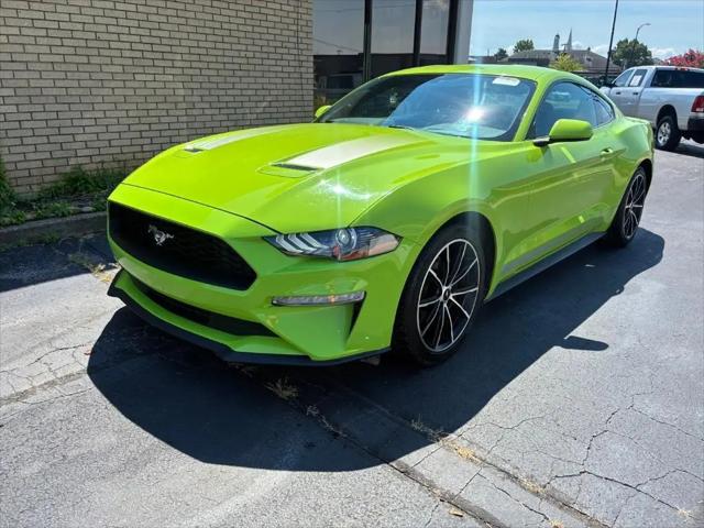 2020 Ford Mustang EcoBoost Fastback for sale in Gallatin, TN