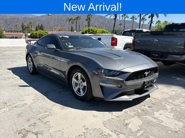 2023 Ford Mustang EcoBoost Fastback for sale in Duarte, CA