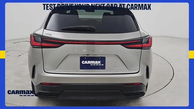 2024 Lexus NX NX 250