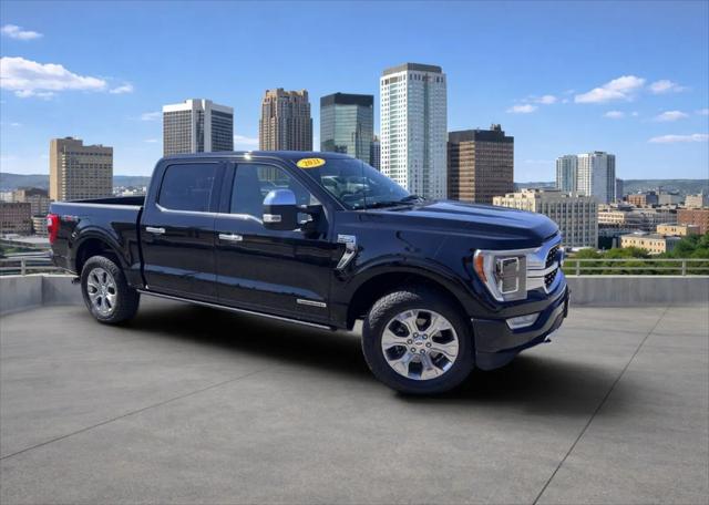 2021 Ford F-150 Platinum for sale in Birmingham, AL