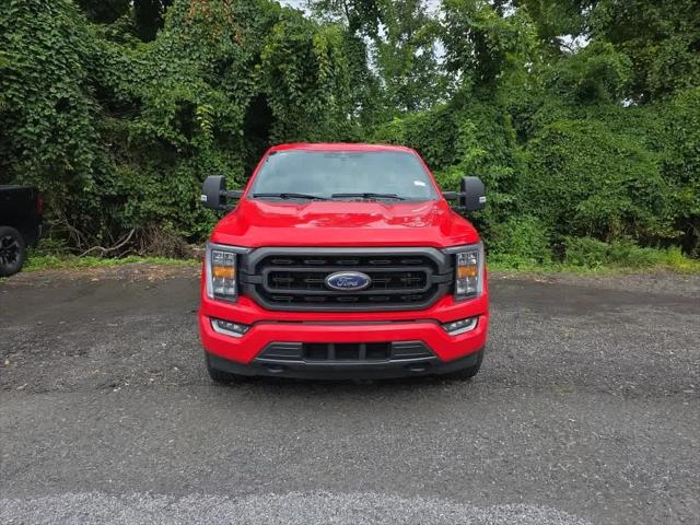 2023 Ford F-150 XLT 2023 Ford F-150 XLT