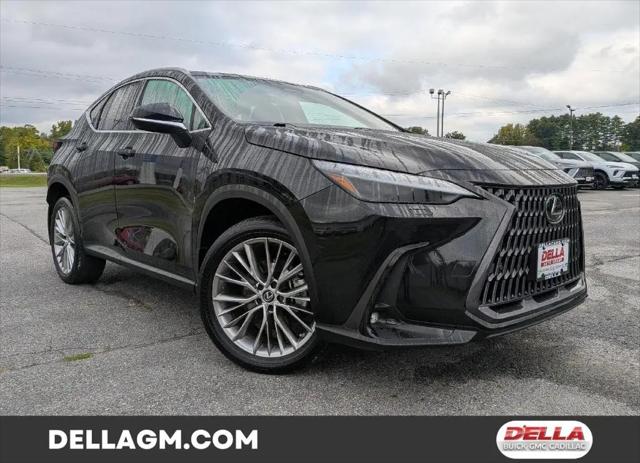 2024 Lexus NX 350 Premium for sale in Plattsburgh, NY