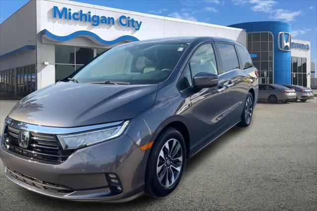 2024 Honda Odyssey EX-L for sale in Michigan City, IN