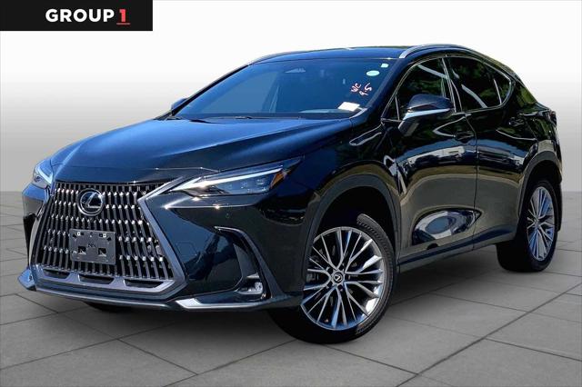 2024 Lexus NX 350 Luxury for sale in Danvers, MA