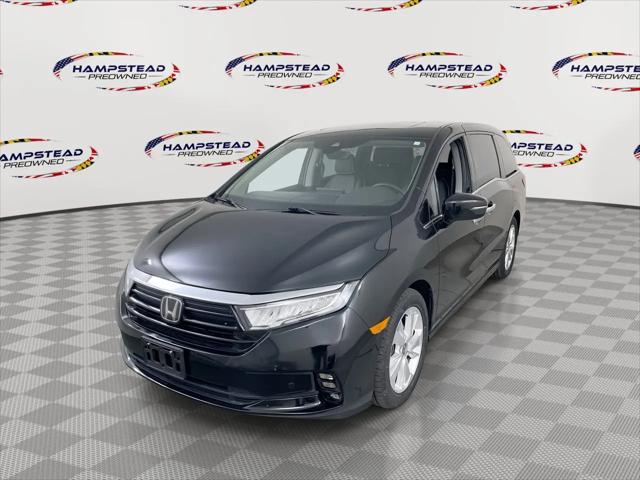 2023 Honda Odyssey Elite for sale in Hampstead, MD