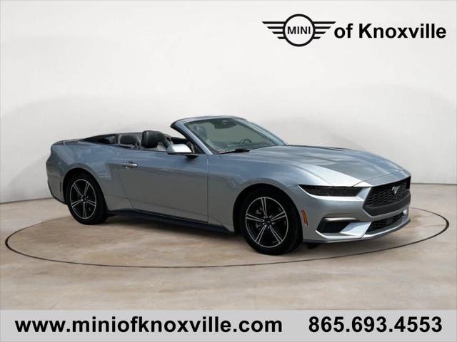 2025 Ford Mustang EcoBoost Premium Convertible for sale in Knoxville, TN
