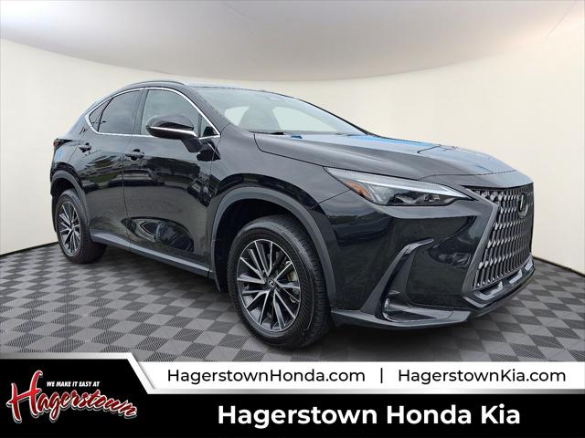 2024 Lexus NX 350 Premium for sale in Hagerstown, MD