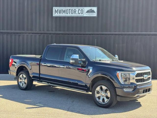 2023 Ford F-150 Platinum for sale in Preston, ID