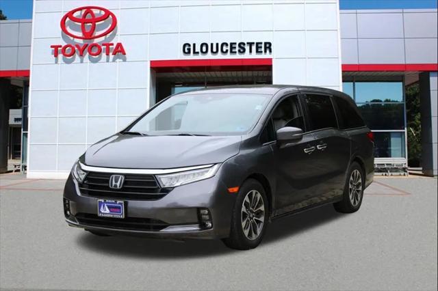 2023 Honda Odyssey EX-L for sale in Gloucester, VA