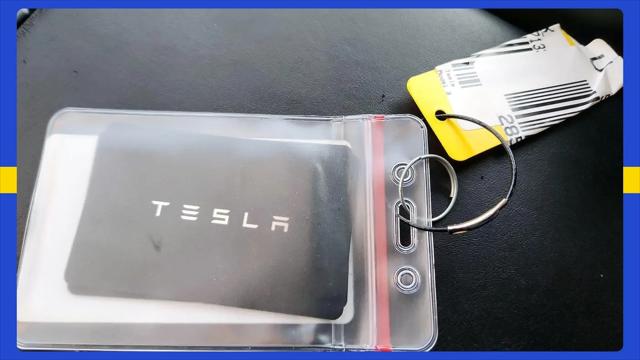 2023 Tesla Model 3 Rear-Wheel Drive