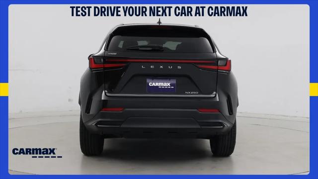 2024 Lexus NX Premium