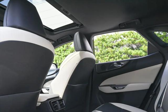 2024 Lexus NX Premium