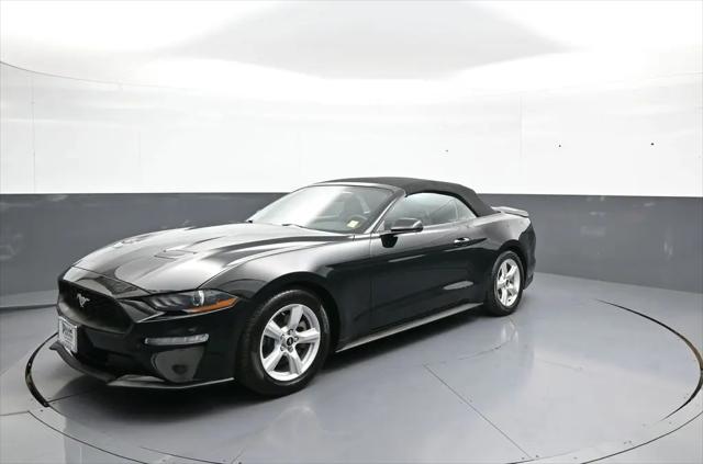 2019 Ford Mustang EcoBoost for sale in Brooklyn, NY