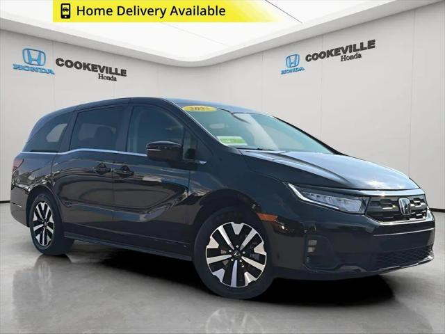 2025 Honda Odyssey EX-L for sale in Cookeville, TN