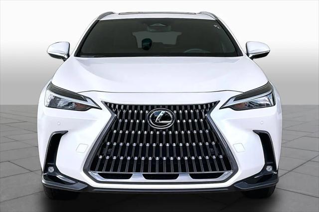2025 Lexus NX Premium