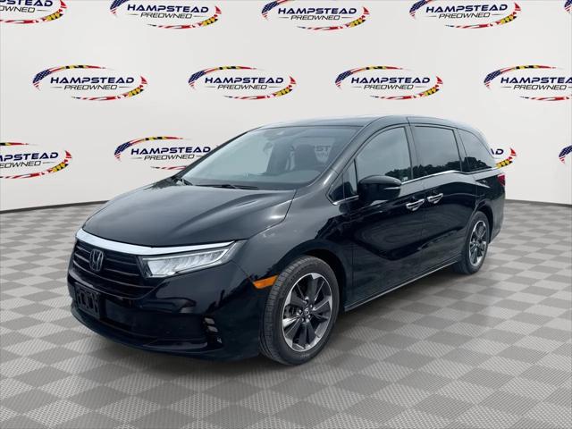2023 Honda Odyssey Elite for sale in Hampstead, MD