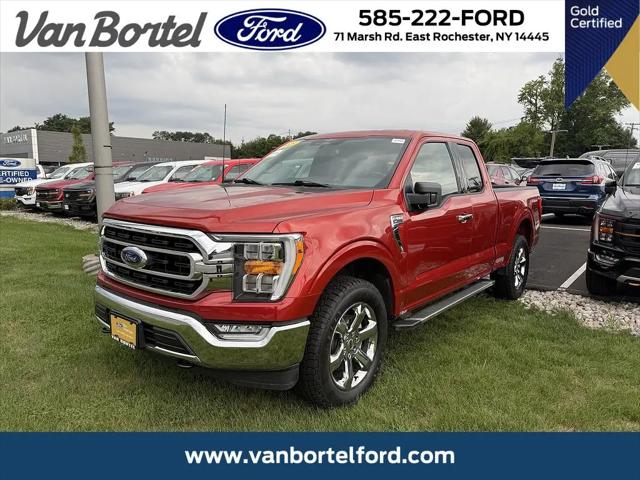 2023 Ford F-150 XLT for sale in East Rochester, NY