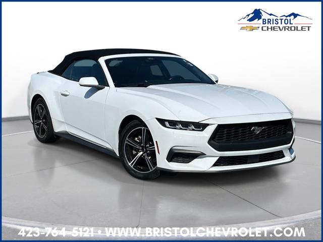 2024 Ford Mustang EcoBoost Premium Convertible for sale in Bristol, TN