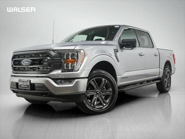 2023 Ford F-150 XLT for sale in Burnsville, MN