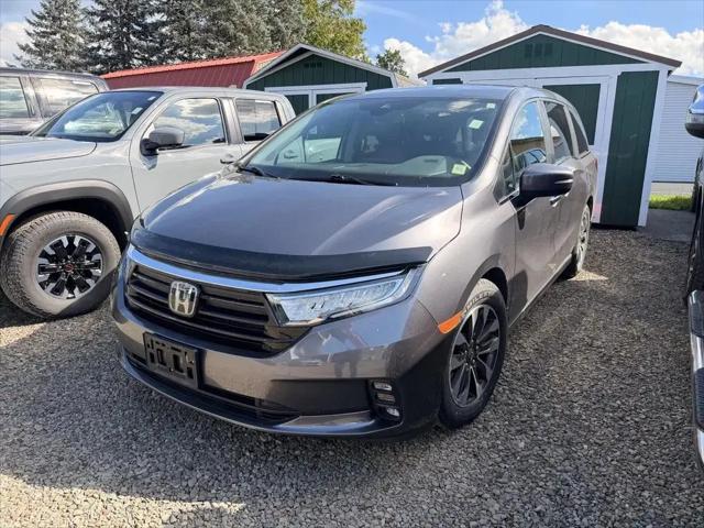 2024 Honda Odyssey EX-L for sale in Oneonta, NY