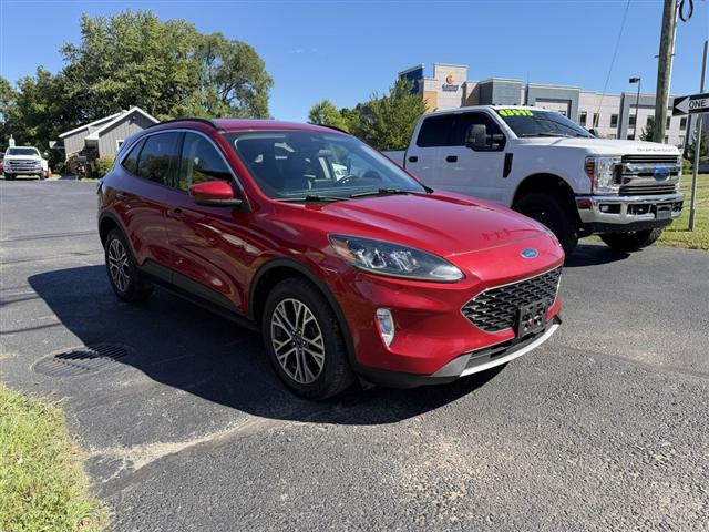 2020 Ford Escape SEL