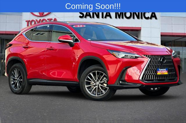 2024 Lexus NX 350 Premium for sale in Santa Monica, CA