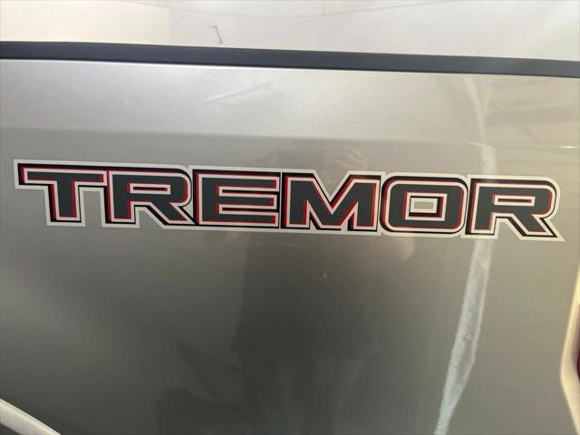 2021 Ford F-250 Platinum