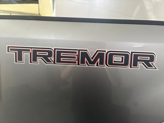 2021 Ford F-250 Platinum