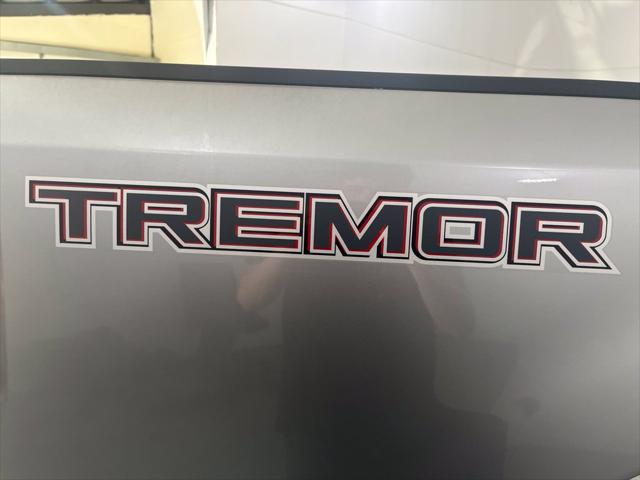 2021 Ford F-250 Platinum