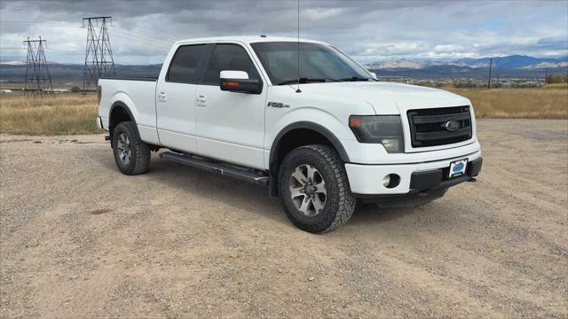 2013 Ford F-150 FX4