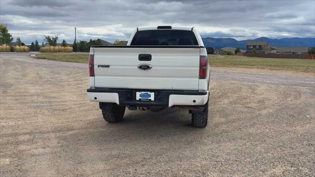 2013 Ford F-150 FX4
