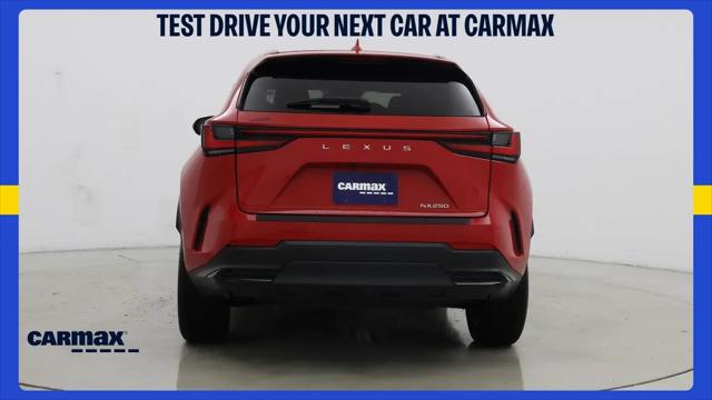 2024 Lexus NX Premium