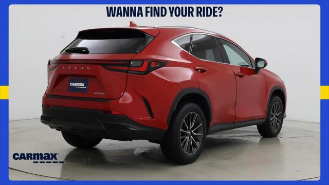 2024 Lexus NX Premium