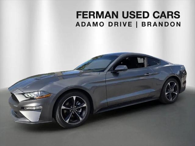 2022 Ford Mustang EcoBoost Fastback for sale in Tampa, FL