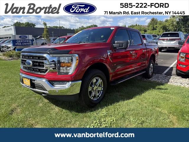 2021 Ford F-150 XLT for sale in East Rochester, NY