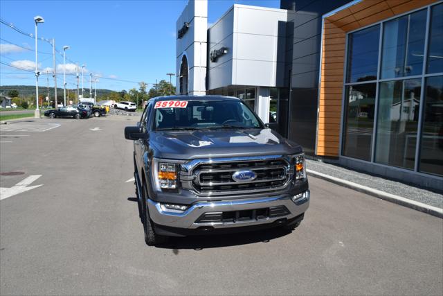 2023 Ford F-150 XLT 2023 Ford F-150 XLT