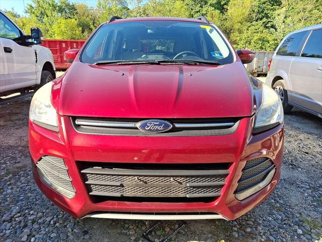 2014 Ford Escape SE 2014 Ford Escape SE