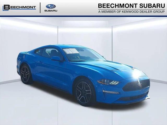 2023 Ford Mustang EcoBoost Premium Fastback for sale near Cincinnati, OH