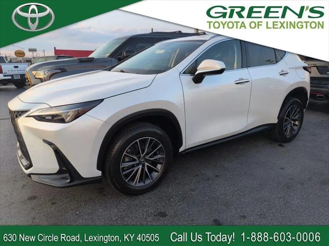 2024 Lexus NX 350 350 Base for sale in Lexington, KY